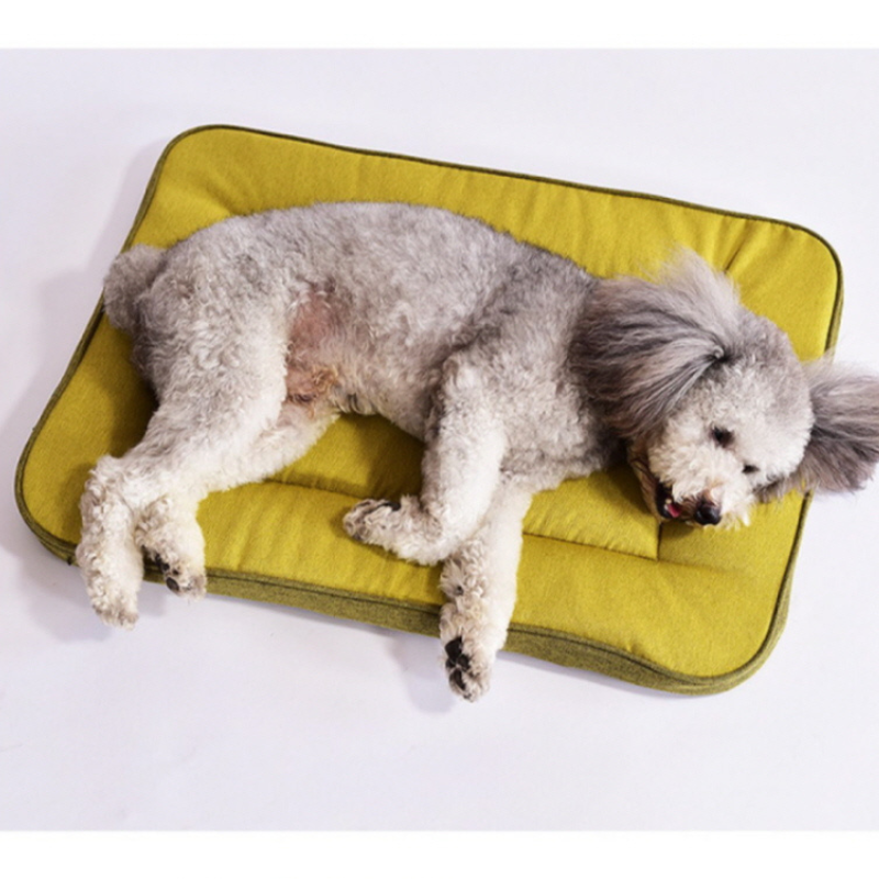 crate padding for dogs