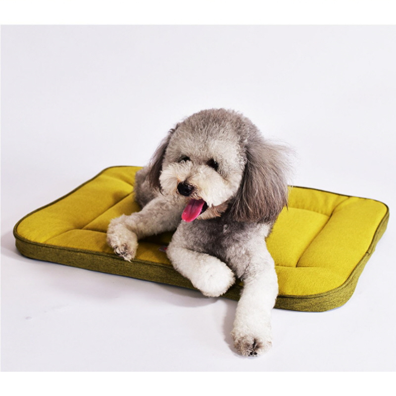 pads for dog crates